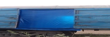 Service 5